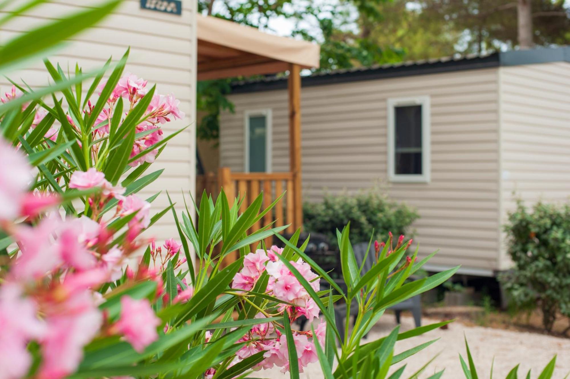 Camping Les Jardins D Agathe Le Grau-d'Agde Bagian luar foto