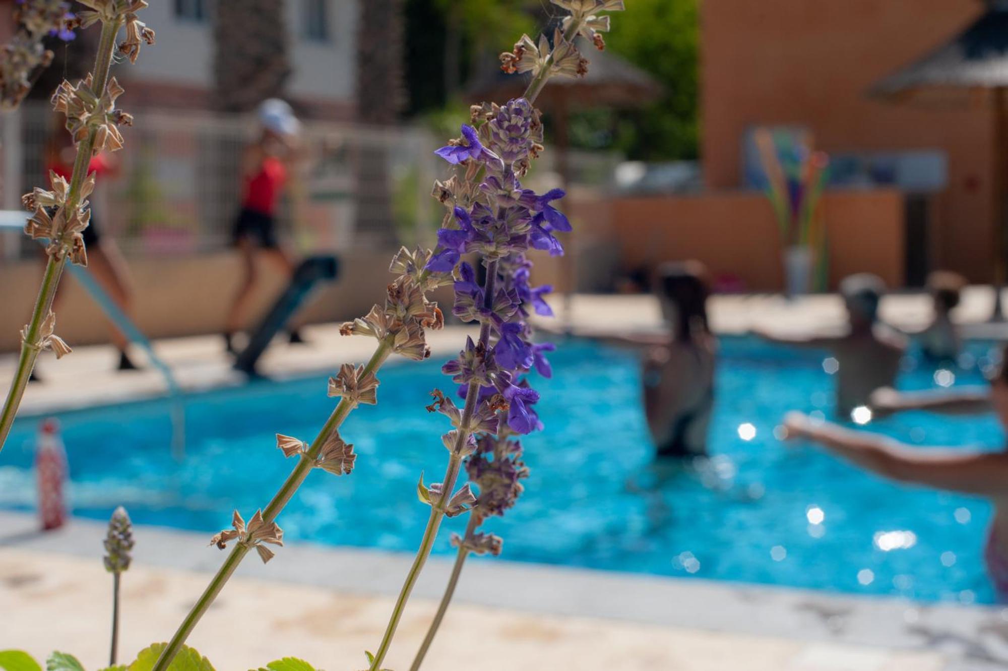 Camping Les Jardins D Agathe Le Grau-d'Agde Bagian luar foto
